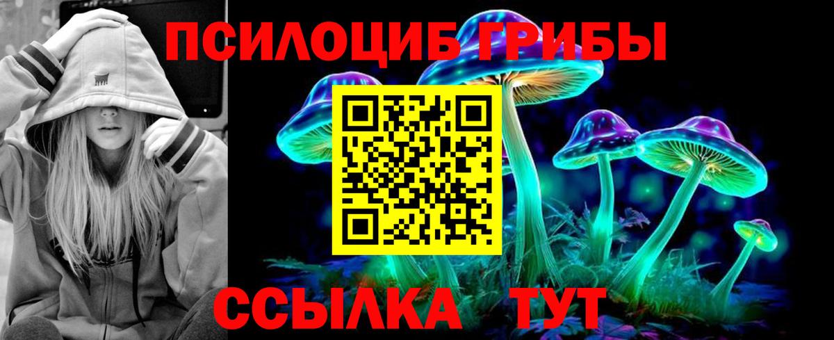 Псилоцибиновые грибы Psilocybe Вышний Волочёк