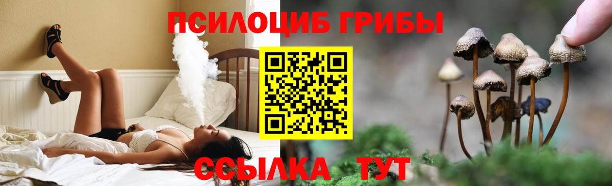 Вышний Волочёк  Псилоцибиновые грибы Magic Shrooms  Вход с VPN  Псилоцибиновые грибы Psilocybine cubensis 